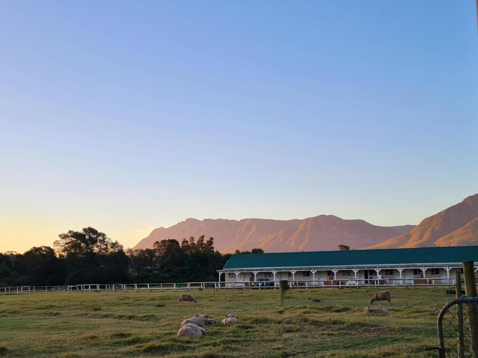 Blue Mountain Farm Lodge, Cabins & Cottages Swellendam Exteriör bild
